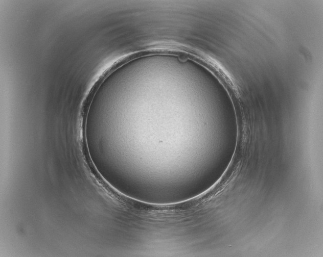 X0000116061376200911201447