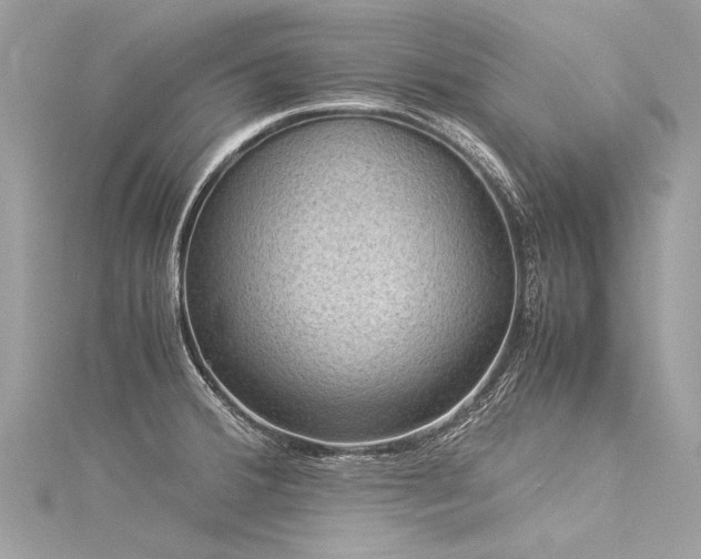 X0000116061380200911201447