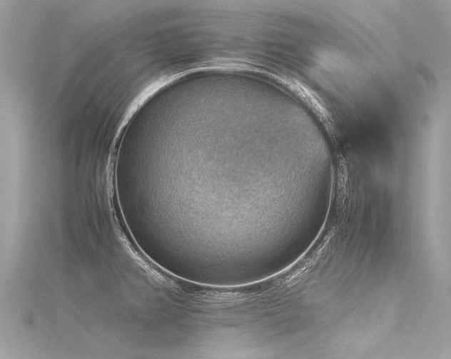 X0000116061382200911201447