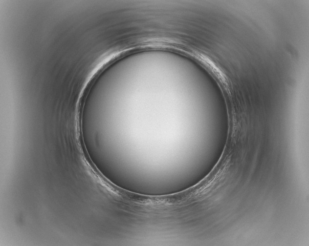 X0000116061384200911201447