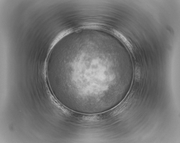 X0000116061386200911201447