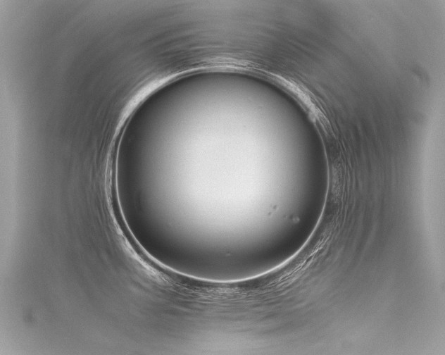 X0000116061387200911201447