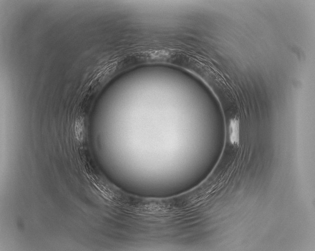 X0000116061395200911201446