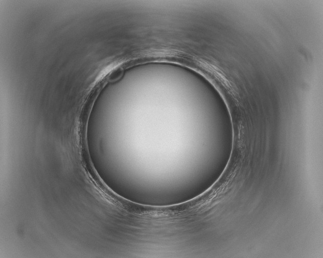 X0000116061404200911201446