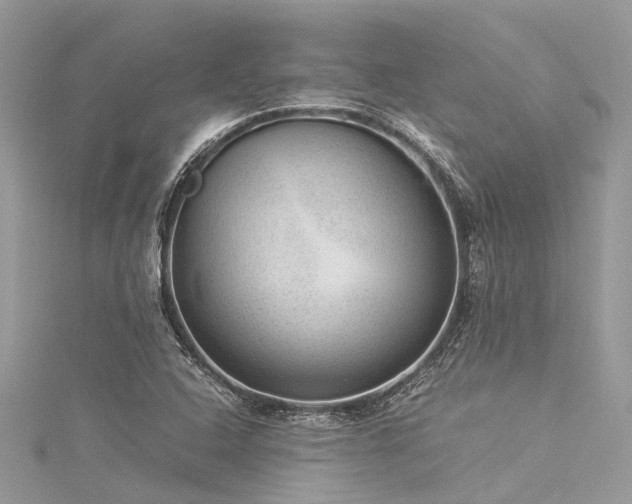 X0000116061408200911201446