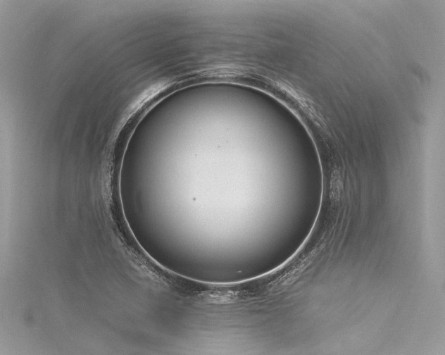 X0000116061410200911201446