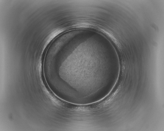 X0000116061418200911201446