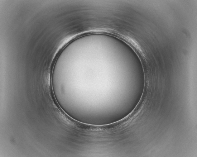 X0000116061420200911201446