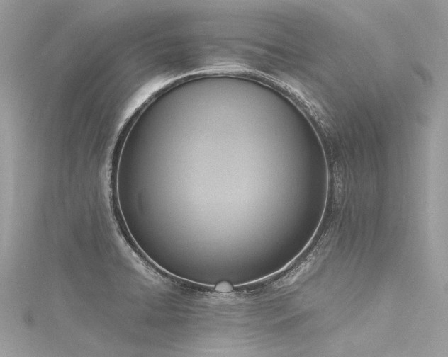 X0000116061422200911201446