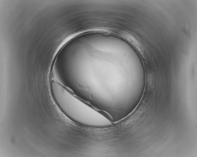 X0000116061428200911201446