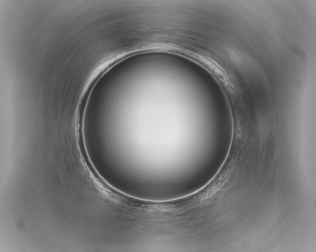 X0000116061430200911201446