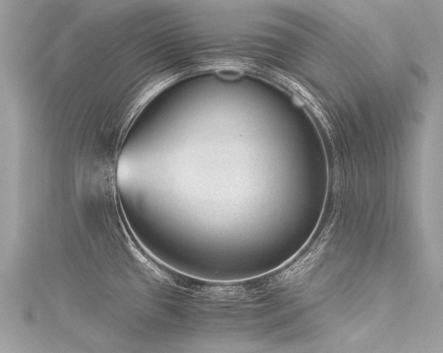 X0000116061433200911201446