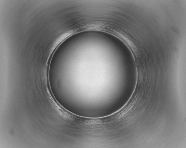 X0000116061434200911201446