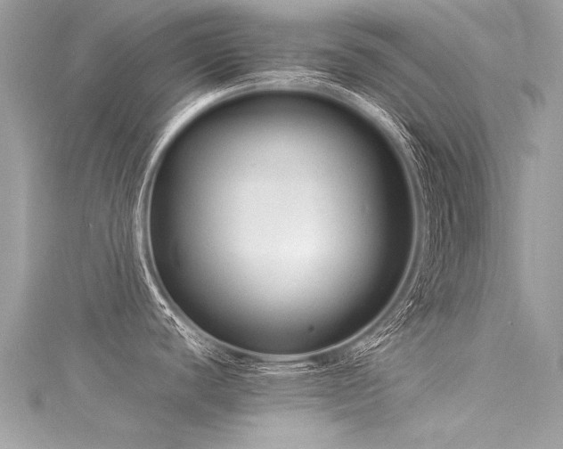 X0000116061440200911201447