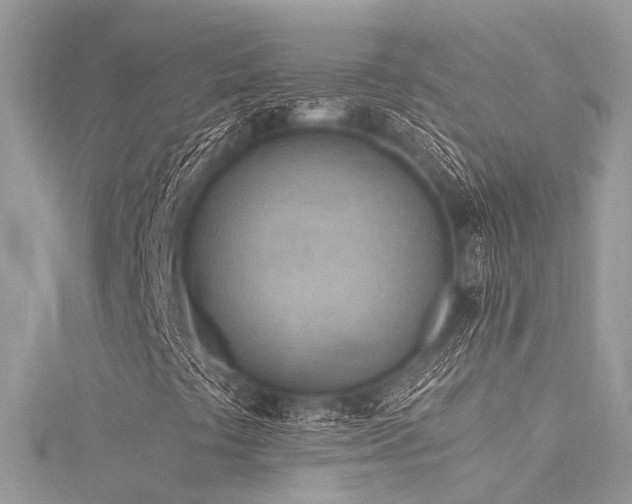 X0000116061441200911201446