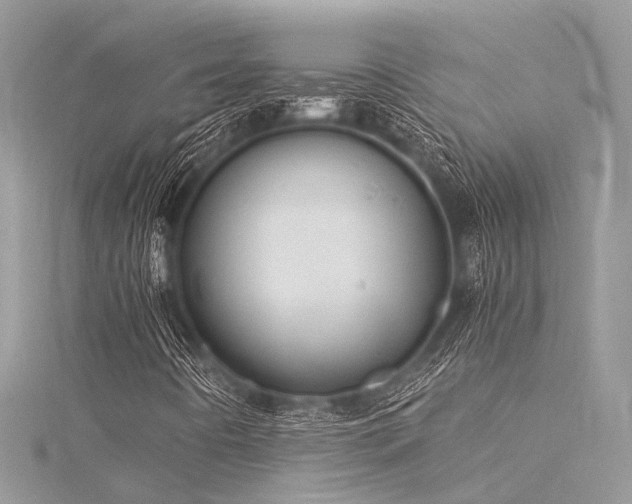 X0000116061442200911201446