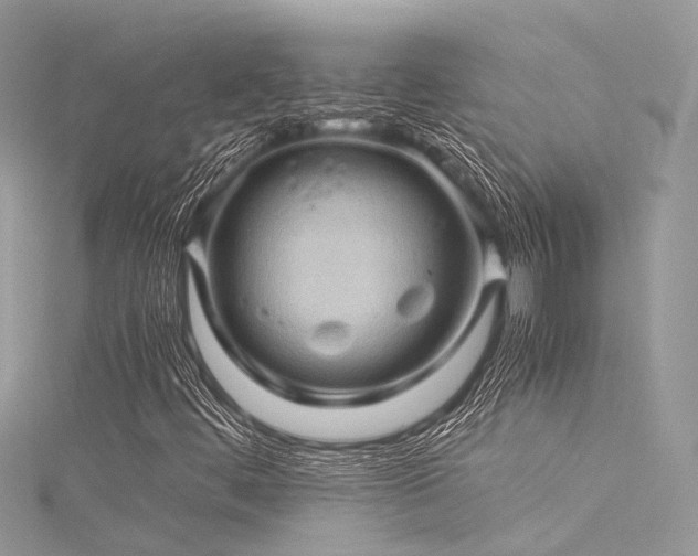 X0000116061444200911201446