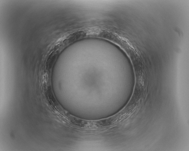 X0000116061445200911201446