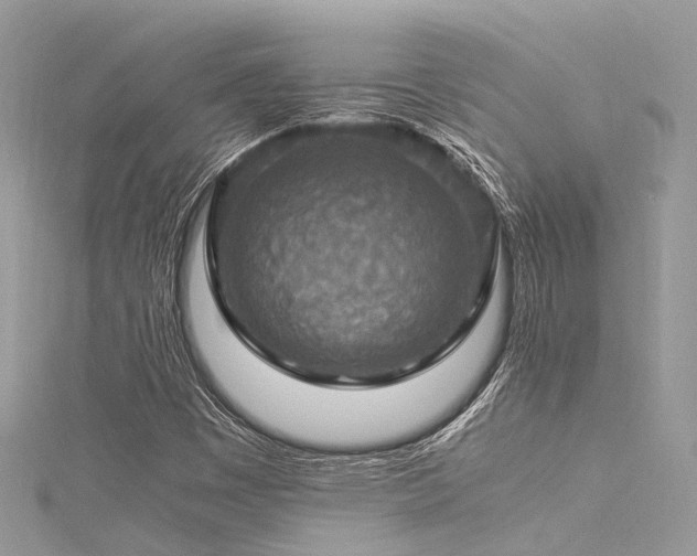 X0000116061449200911201446