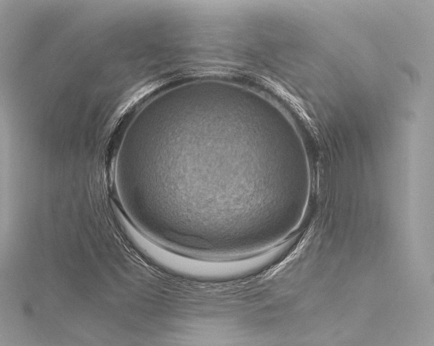 X0000116061453200911201446