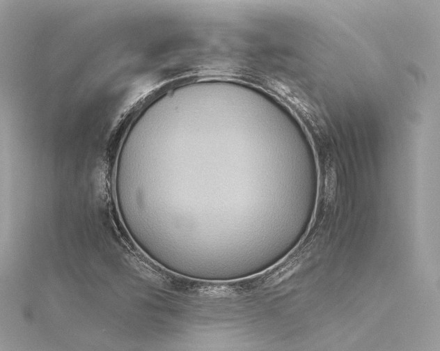 X0000116061454200911201446