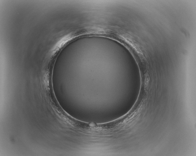 X0000116061455200911201446