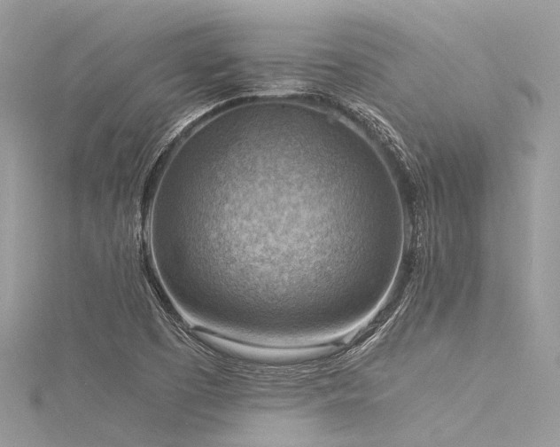 X0000116061457200911201446