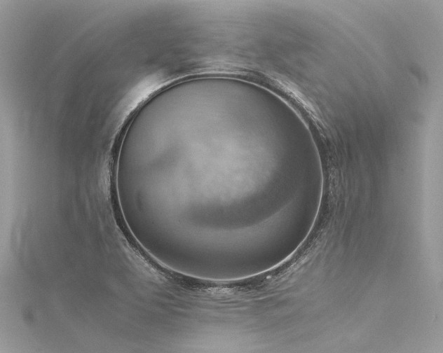 X0000116061463200911201446