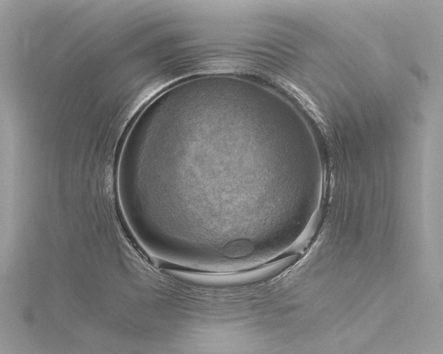 X0000116061465200911201446
