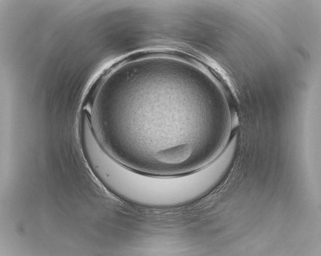 X0000116061472200911201445