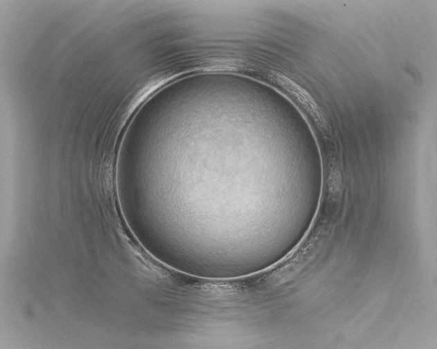 X0000116061473200911201445
