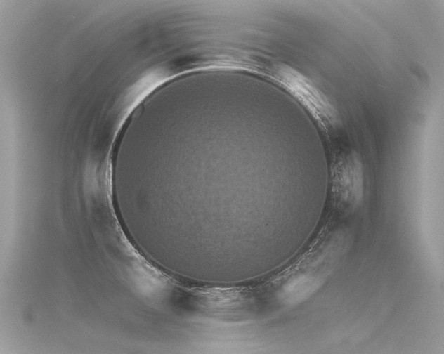 X0000116061476200911201445
