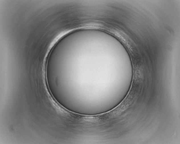X0000116061478200911201445