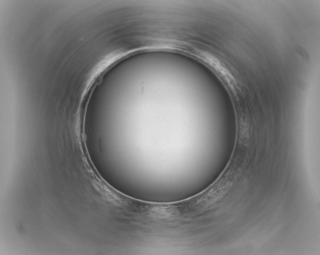 X0000116061480200911201445