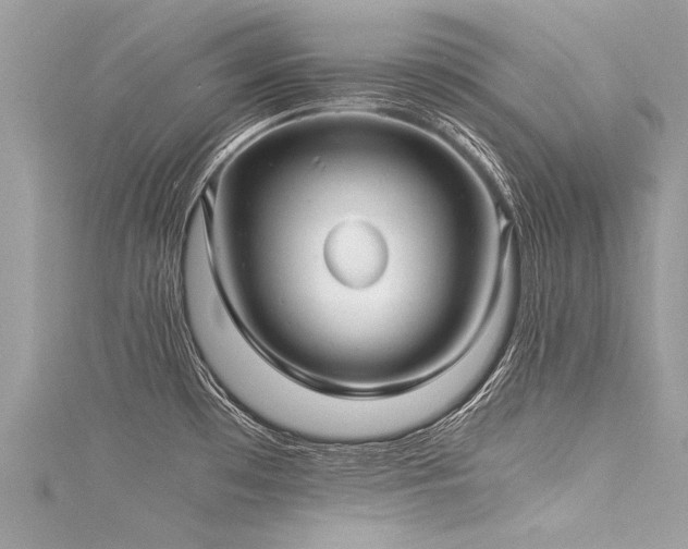 X0000116061481200911201445