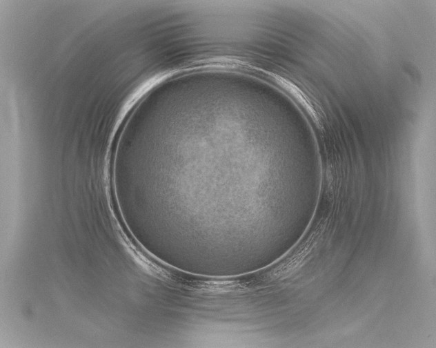 X0000116061482200911201445