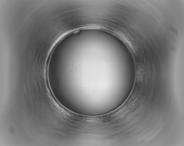X0000116061484200911201445