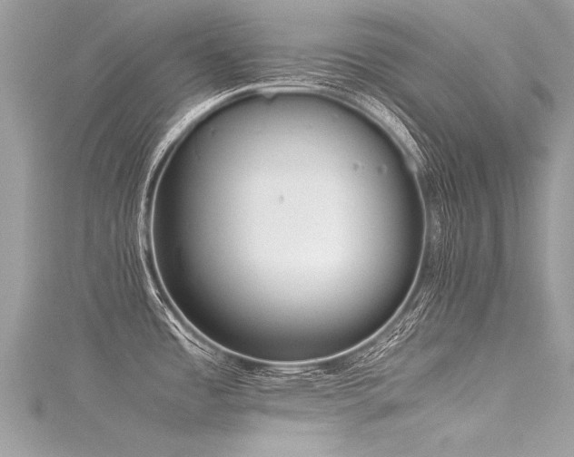 X0000116061485200911201445