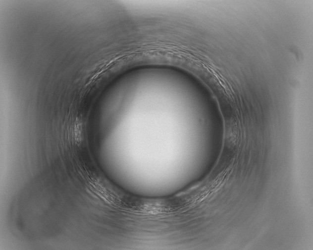 X0000116061490200911201445