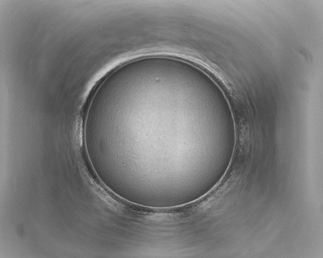X0000116061510200911201445
