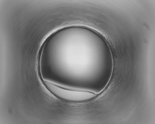 X0000116061518200911201445