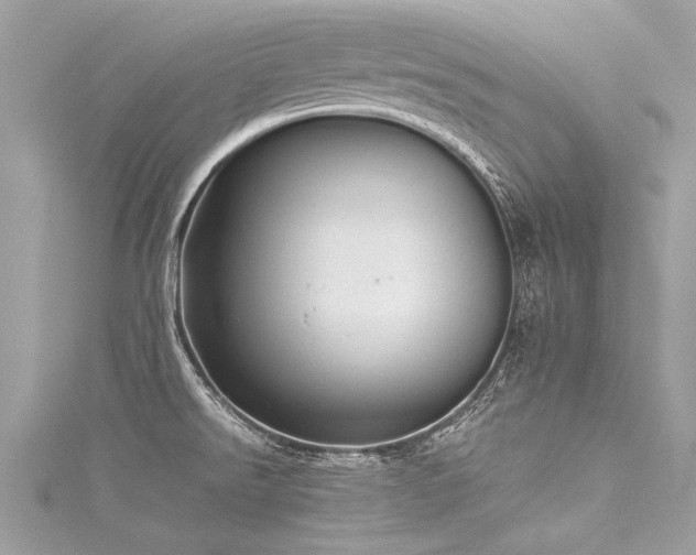 X0000116061526200911201445