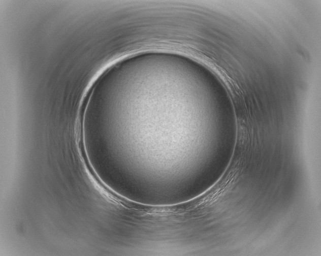 X0000116061531200911201445