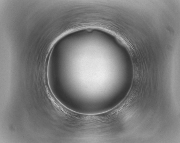 X0000116061534200911201445