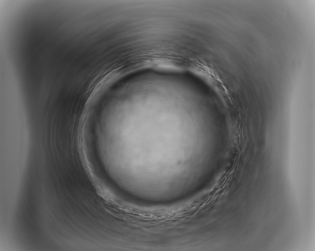 X0000116060001200911271252
