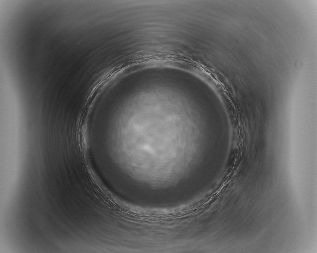 X0000116060002200911271252