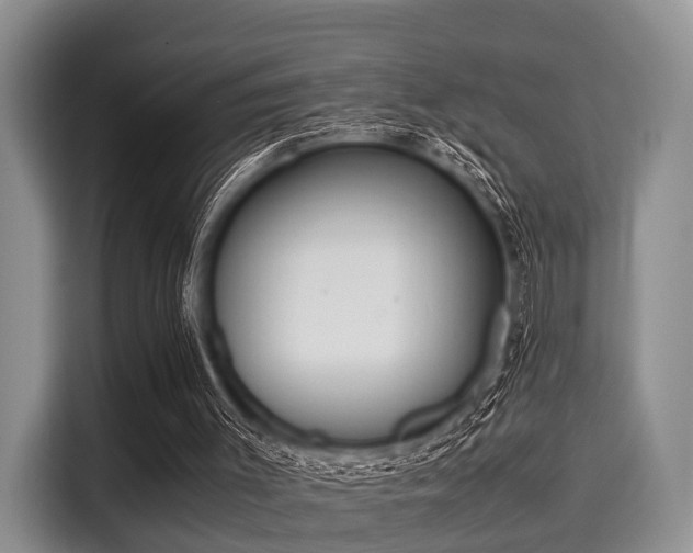 X0000116060003200911271252