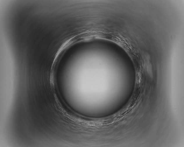 X0000116060004200911271252