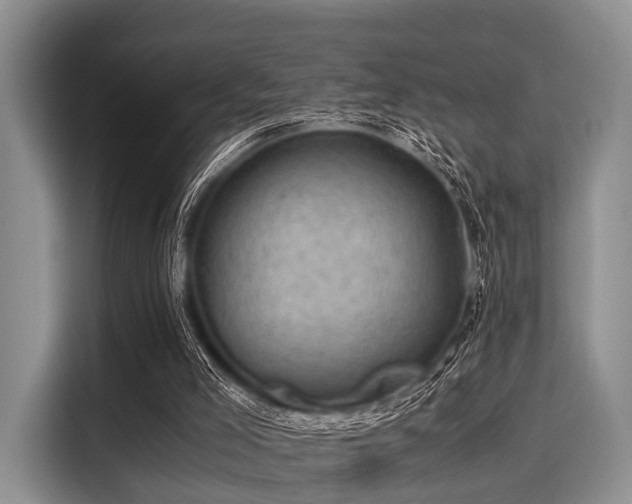 X0000116060005200911271252