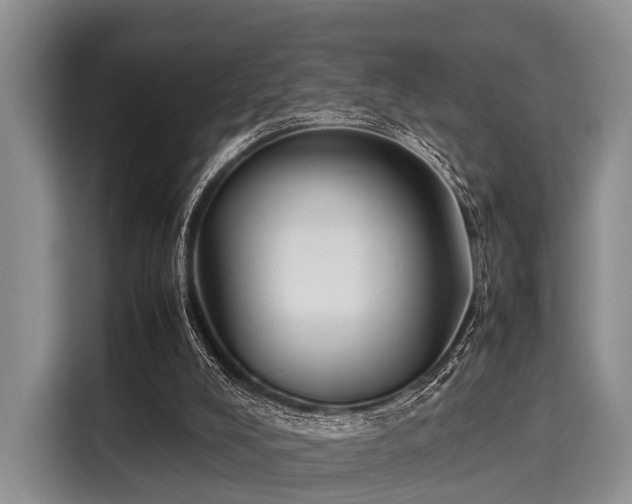X0000116060008200911271252